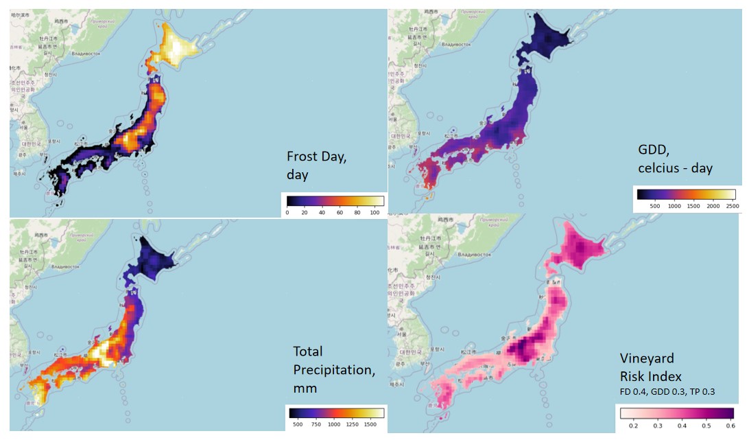 Satellite data monitoring Jpn vineyard